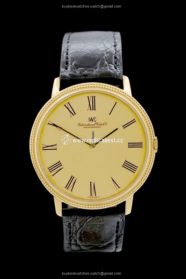 IWC Mens watch Unisex Manual winding Yellow gold 2006
