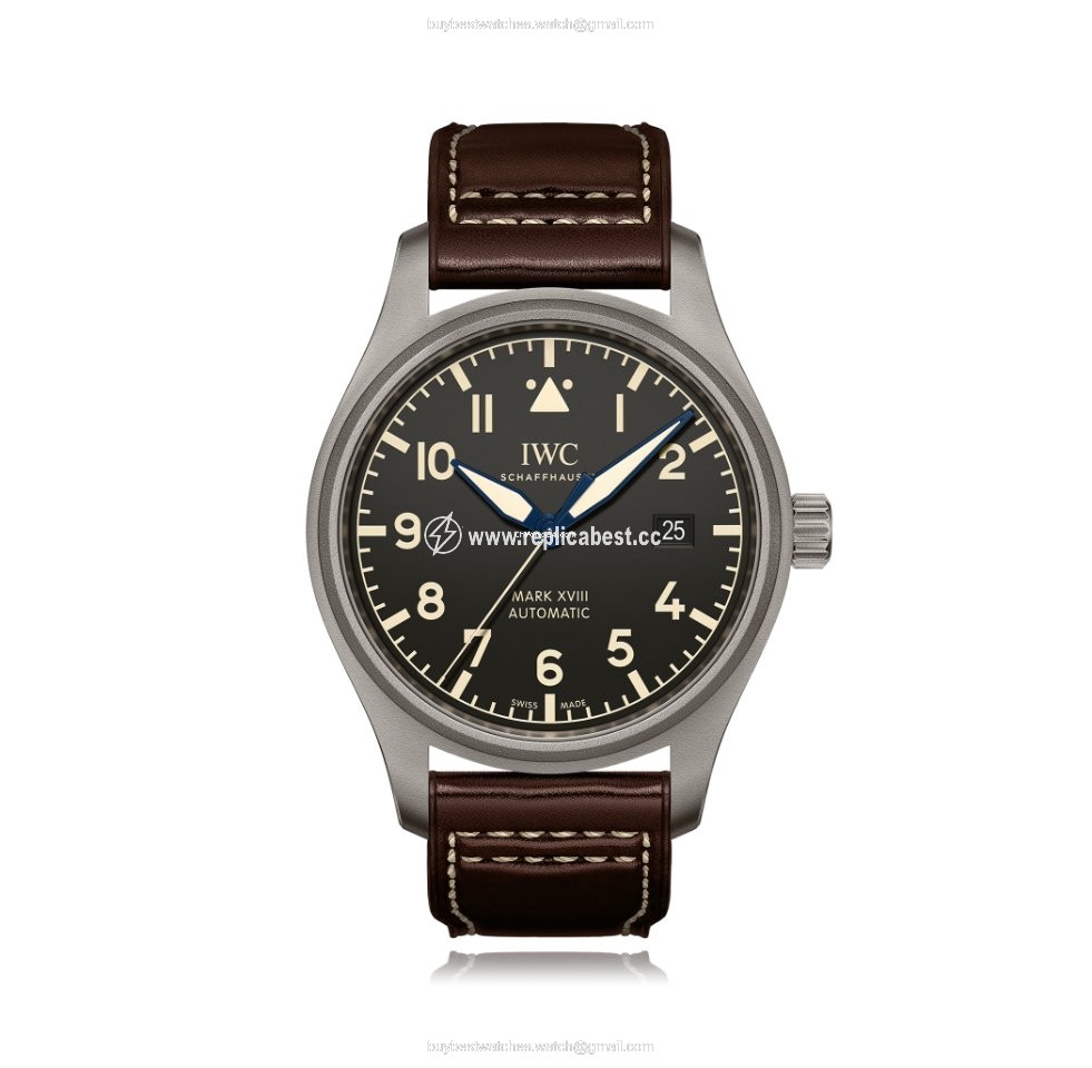 IWC Pilot Mark Mens watch Unisex Automatic Titanium IW327006