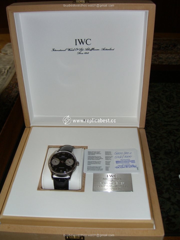 IWC Portuguese Mens watch Unisex Automatic Steel IW 5000