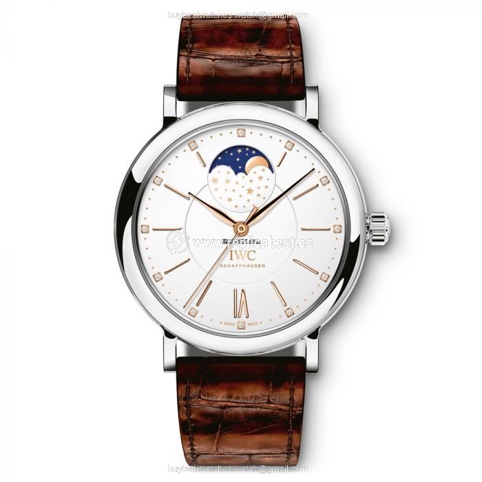 IWC Portofino Automatic Mens watch Unisex Automatic Steel IW459011