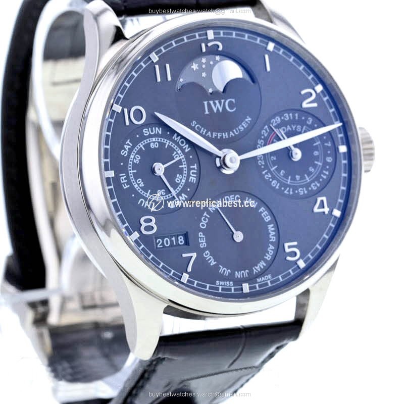 IWC Portuguese Perpetual Calendar Mens watch Unisex Automatic White gold Ref. 502218