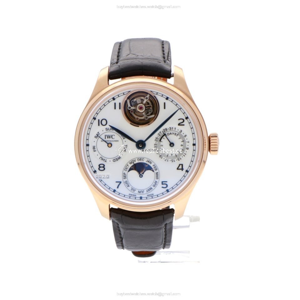 IWC Mens watch Unisex Automatic Rose gold IW504501