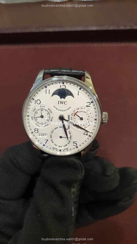 IWC Portuguese Perpetual Calendar Mens watch Unisex Automatic Platinum IW502305