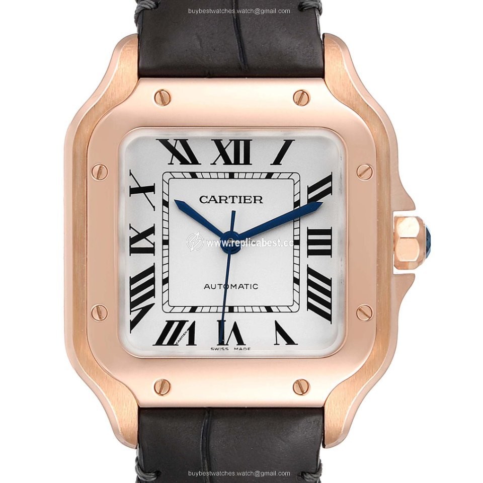 Cartier Santos Mens watch Unisex Automatic WGSA0012