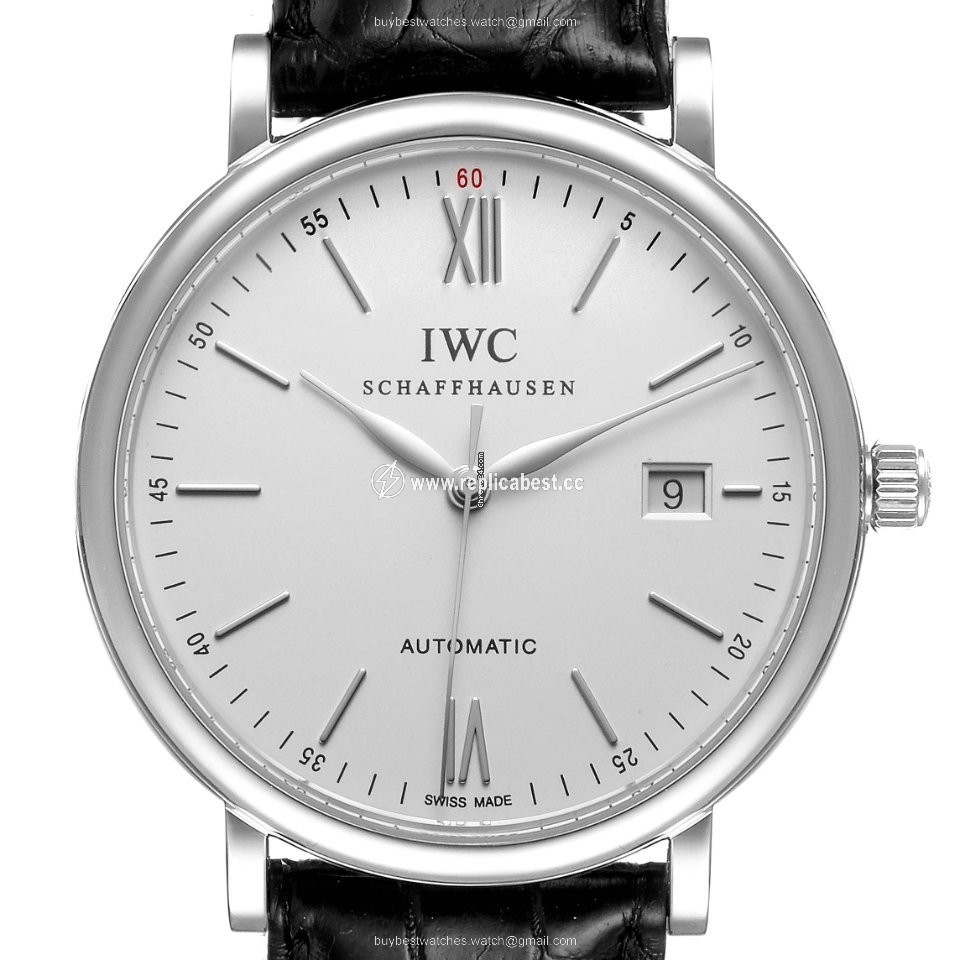 IWC Portofino Automatic Mens watch Unisex Automatic Steel IW356501