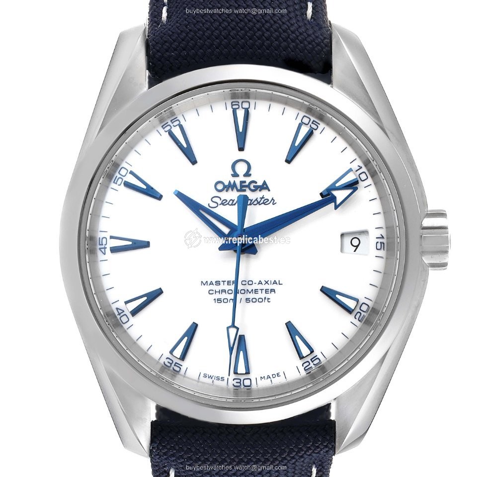 Omega Seamaster Aqua Terra Mens watch Unisex Automatic Titanium 231.92.39.21.04.001