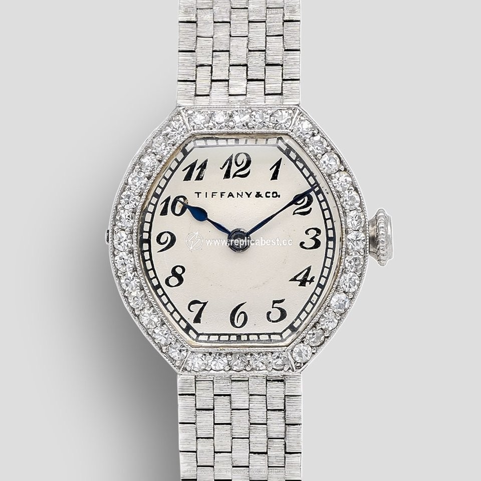 Patek Philippe Womens watch Manual winding White gold IW544501
