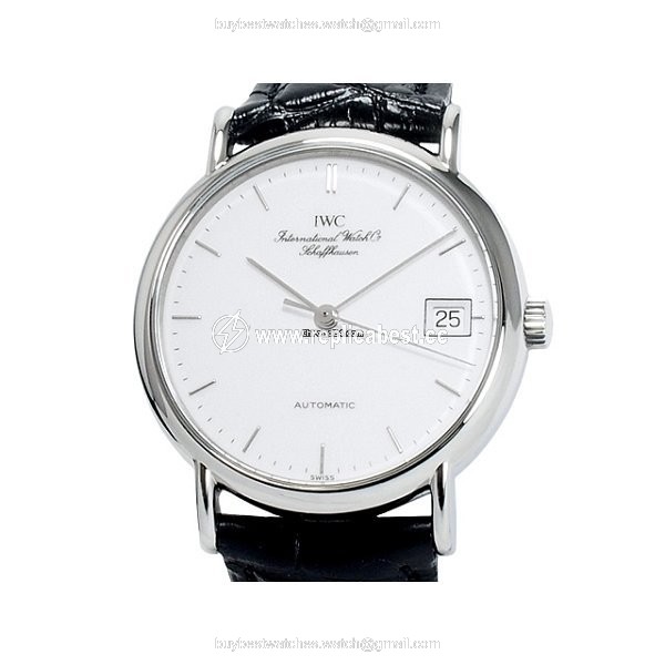 IWC Portofino Automatic Automatic Steel IW3513020