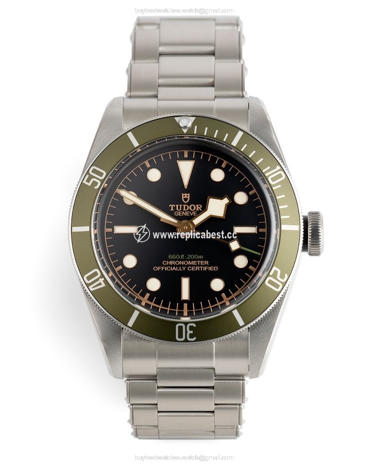 Tudor Black Bay Automatic Steel 79230G