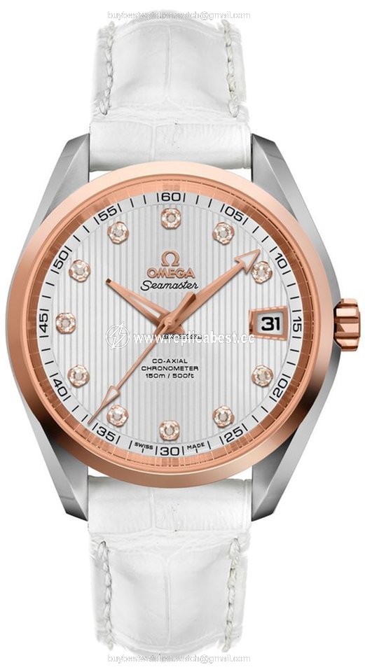 Omega Seamaster Aqua Terra Mens watch Unisex Automatic Steel 23123392152001