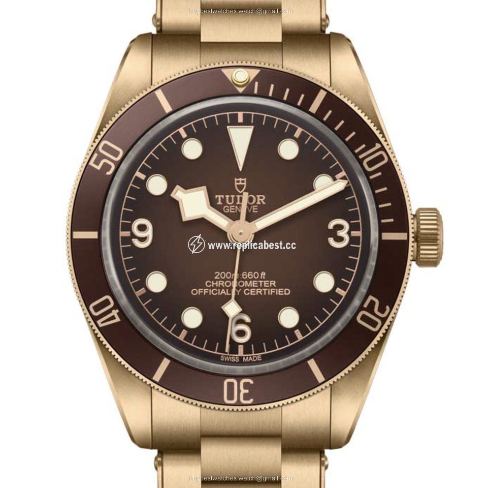 Tudor Mens watch Unisex Automatic Bronze M79012M-0001