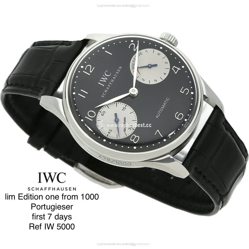 IWC Portuguese Mens watch Unisex Automatic Steel IW5000