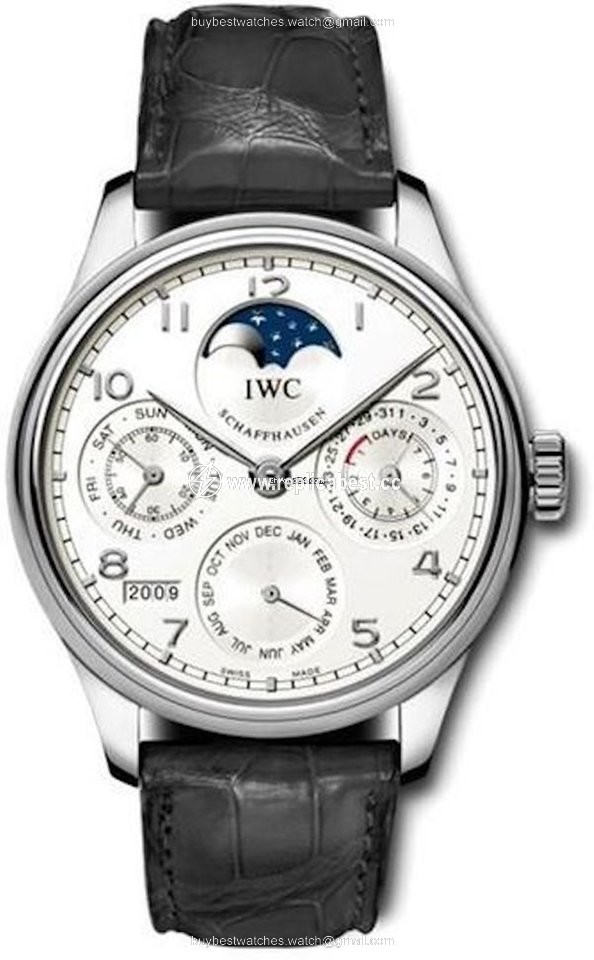 IWC Portuguese Perpetual Calendar Mens watch Unisex Automatic Platinum IW502301