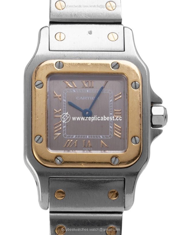 Cartier Santos Mens watch Unisex Quartz Gold Steel W20031C4 1567