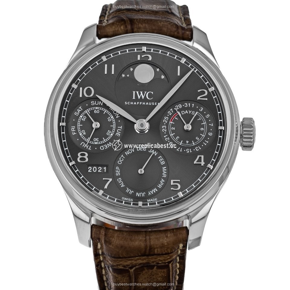 IWC Portuguese Perpetual Calendar Mens watch Unisex Automatic White gold IW503301