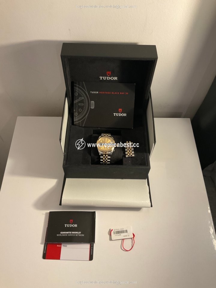 Tudor Mens watch Unisex Automatic Gold Steel 79503-0002