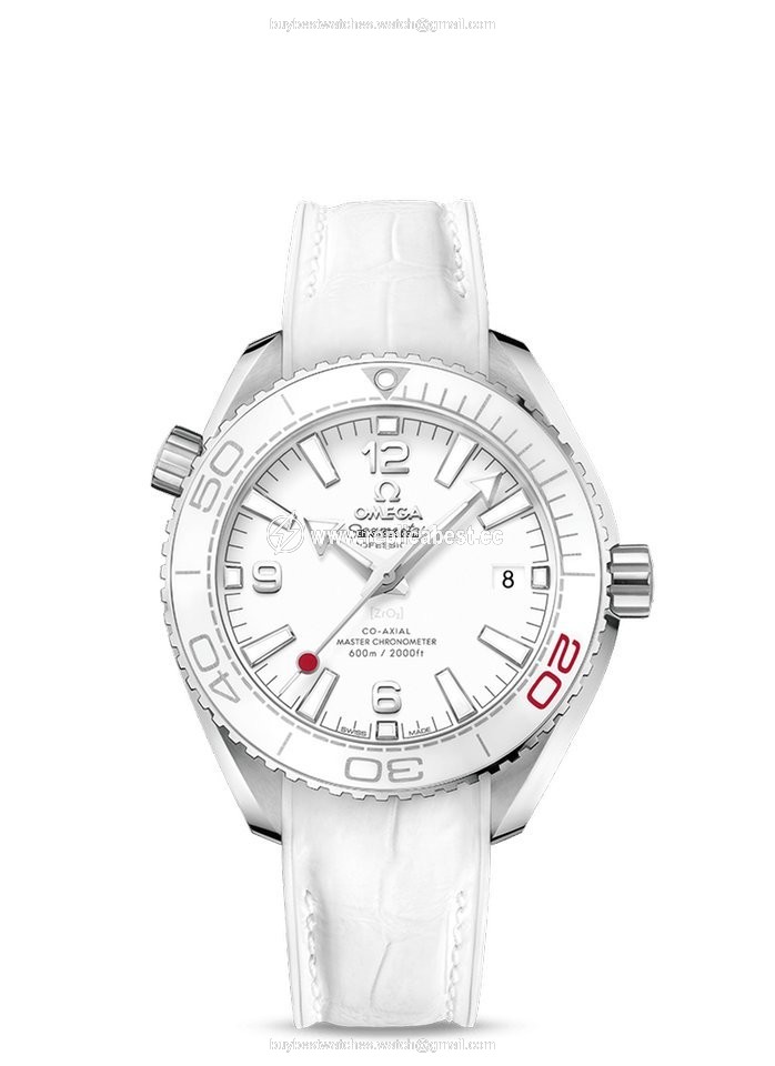 Omega Seamaster Planet Ocean Mens watch Unisex Automatic Steel 522.33.40.20.04.001