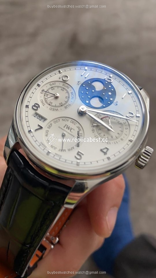 IWC Portuguese Perpetual Calendar Mens watch Unisex Automatic Platinum IW503406