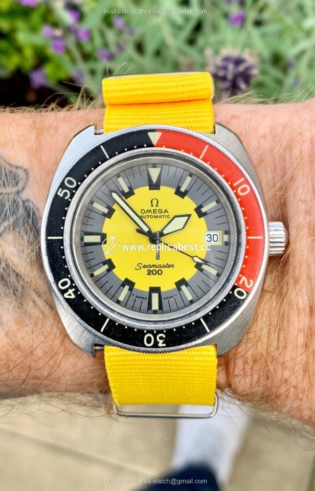 Omega Seamaster Mens watch Unisex Automatic Steel 166.068