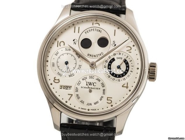 IWC Portuguese Perpetual Calendar Mens watch Unisex Automatic Platinum IW502111