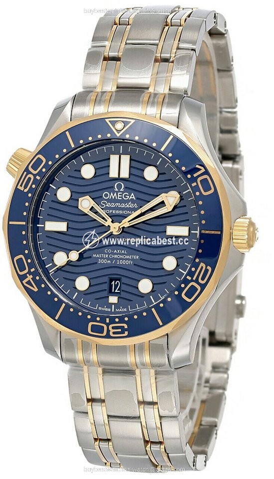 Omega Seamaster Diver 300 M Automatic Steel 21020422003001 210.20.42.20.03.001