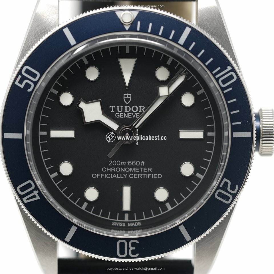 Tudor Black Bay Mens watch Unisex Automatic Steel 79230B-0007