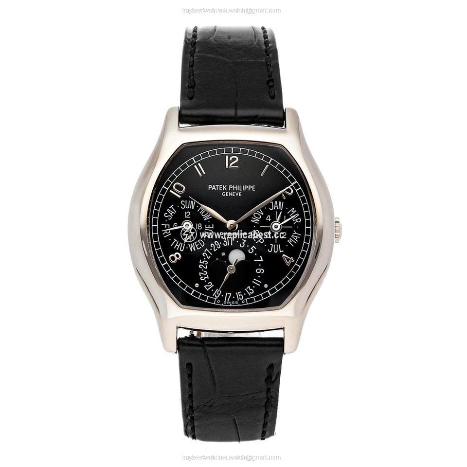 Patek Philippe Perpetual Calendar Mens watch Unisex Automatic White gold 5040G-016