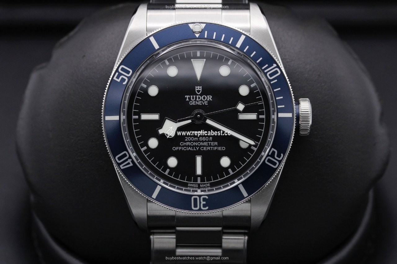 Tudor Black Bay Steel 79230