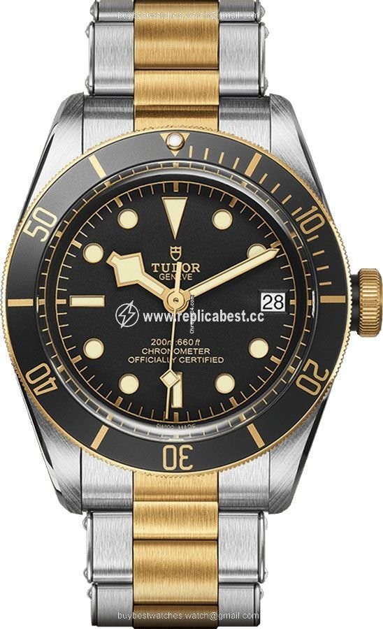 Tudor Black Bay S&G Mens watch Unisex Automatic Steel M79733N-0002