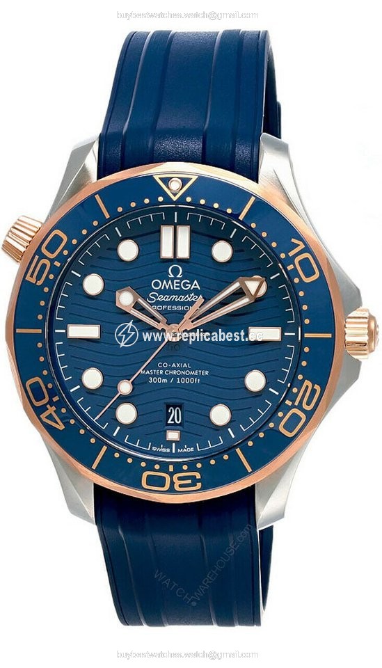 Omega Seamaster Diver 300 M Automatic 210.22.42.20.03.002 21022422003002