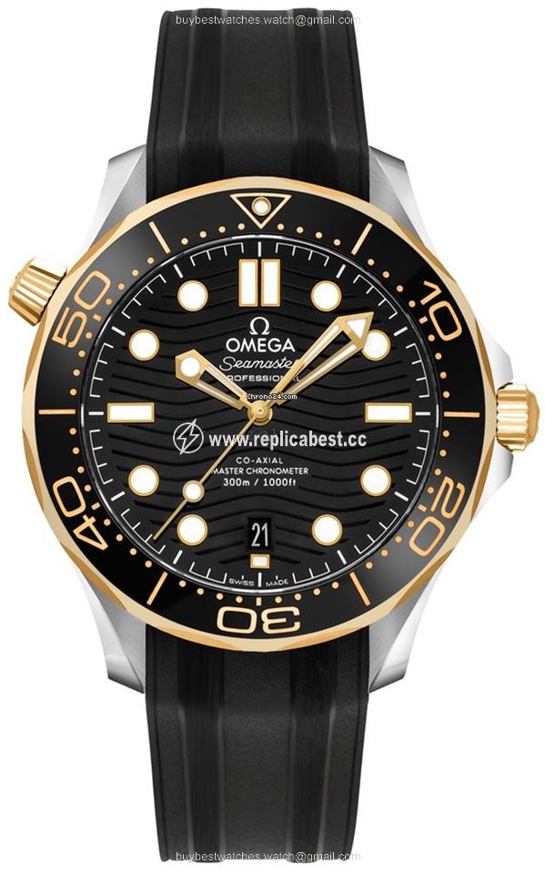 Omega Seamaster Diver 300 M Mens watch Unisex Automatic Steel 21022422001001