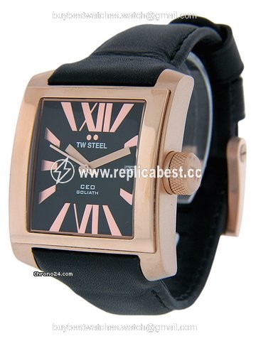 TW Steel Mens watch Unisex Quartz Steel CE3010