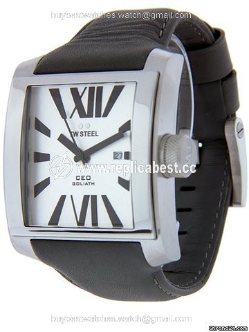 TW Steel Mens watch Unisex Quartz Steel CE3002