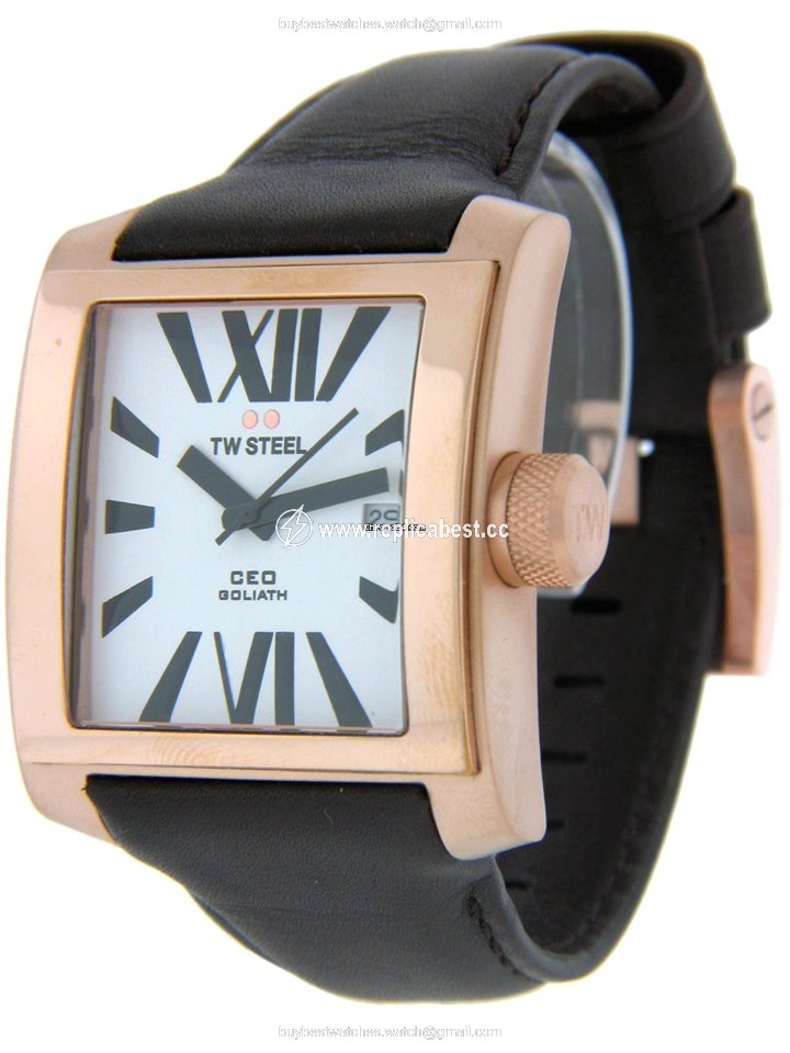 TW Steel Mens watch Unisex Quartz Steel CE3007