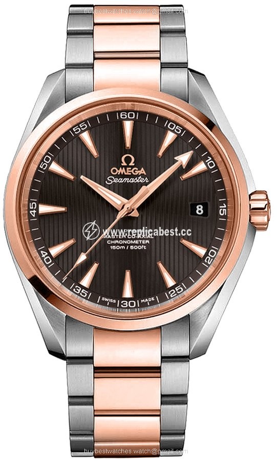 Omega Seamaster Aqua Terra Mens watch Unisex Automatic Gold Steel 231.20.42.21.06.003